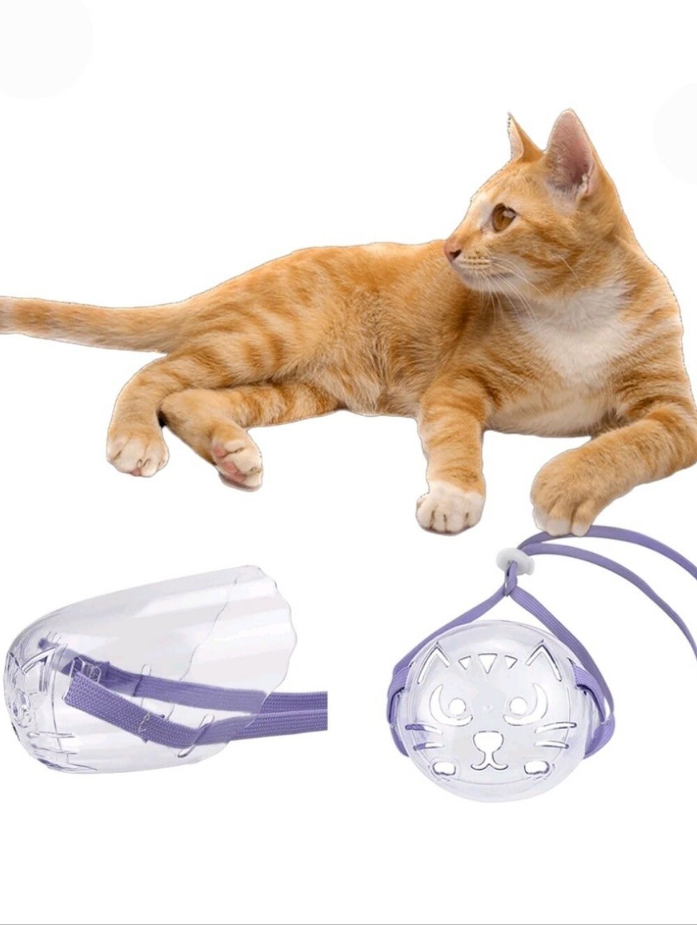 Cat Protective Face Shield with Adjustable Purple Strap